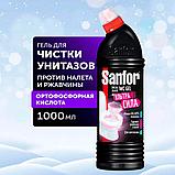 Средство для туалета 1000мл Sanfor WC "Special Black", гель, фото 3