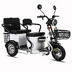 Электрический трицикл Shtenli Model XL 48V 4 аккумулятора, фото 2