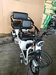 Электрический трицикл Shtenli Model XL 48V 4 аккумулятора, фото 5