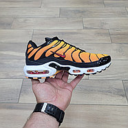 Кроссовки WMNS Nike Air Max Plus TXT TN Tiger, фото 2