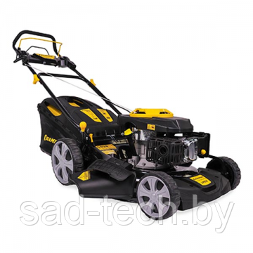 Газонокосилка CHAMPION LM5131 (3кВт/4,1 л.с; самоход; травосб. 60л шир.510мм 25-75мм/7 уровней; 33,8кг;, фото 2
