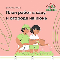 План работ в саду и огороде на июнь