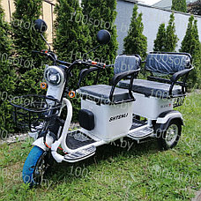 Электрический трицикл SHTENLI Model XL (40) SLA 20Ач48В, фото 2