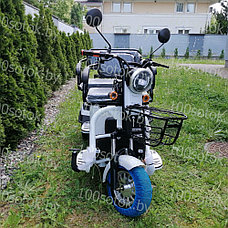 Электрический трицикл SHTENLI Model XL (40) SLA 20Ач48В, фото 3
