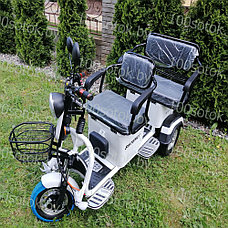 Электрический трицикл SHTENLI Model XL (40) SLA 20Ач48В, фото 2
