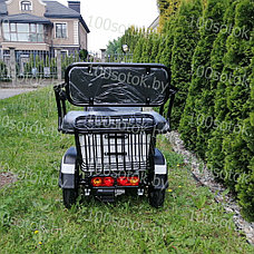 Электрический трицикл SHTENLI Model XL (40) SLA 20Ач48В, фото 3