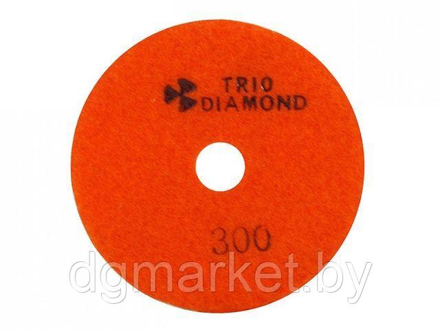 Алмазный гибкий шлифкруг "Черепашка" 100 № 300 (мокрая шл.) (Trio-Diamond)