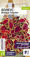 Колеус Визард Скарлет 5шт Комн 35см (Сем Алт)