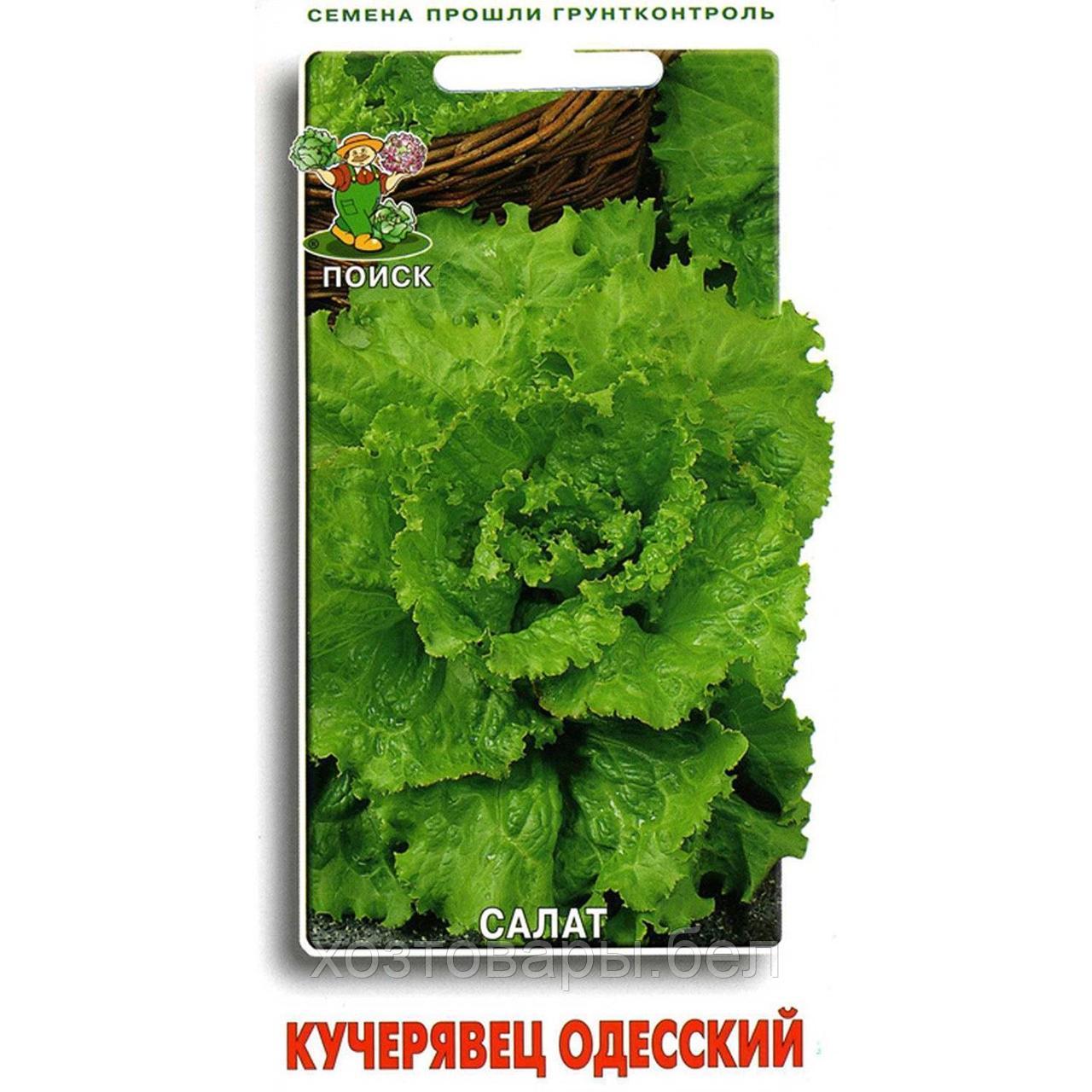 Салат Кучерявец Одесский полукочанный 1г Ср (Поиск)