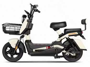Электроскутер Shtenli Model 21 Performance PRO, фото 2