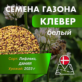Клевер белый ползучий - семена, сорт Лифлекс (Дания), кг