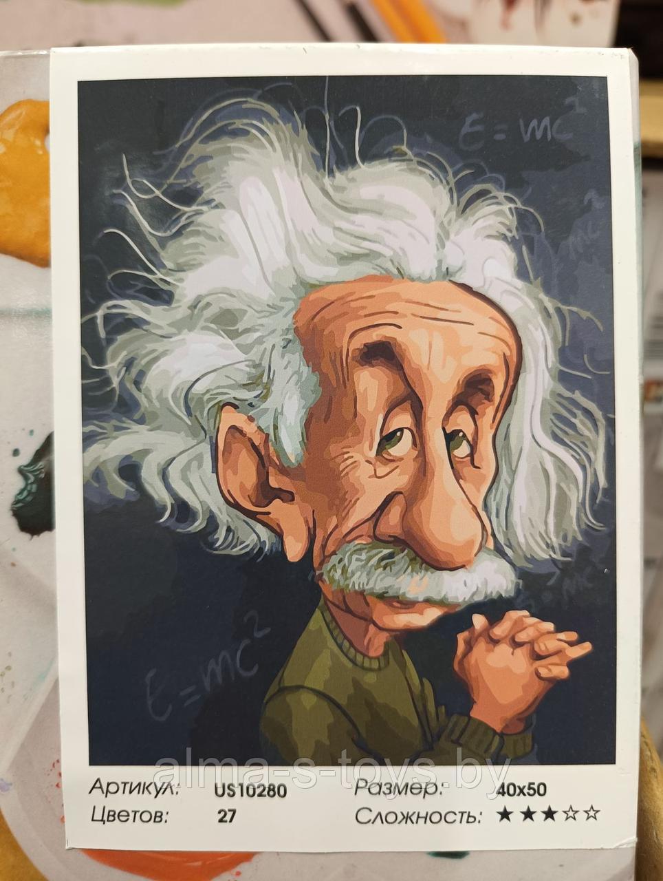 Рисование по номерам "Эйнштейн" 40*50