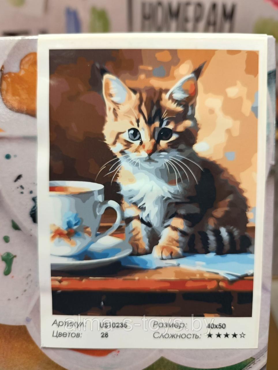 Рисование по номерам "Котенок и чашка" 40*50