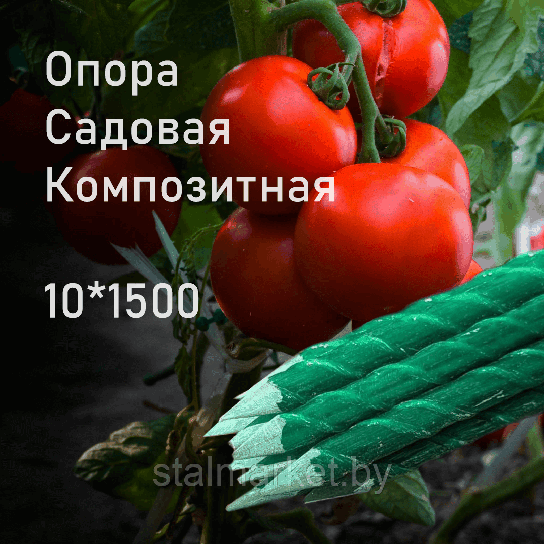Колышки (садовая опора) для помидоров 10*1500 мм