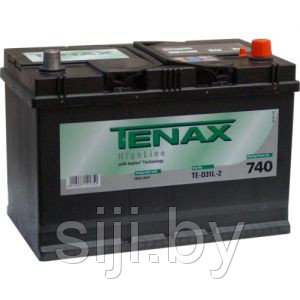 Tenax high 591400 (91Ah) ASIA e TE-D31L-2