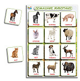 Игровое пособие “Энциклопедия в картинках Животные”, фото 2