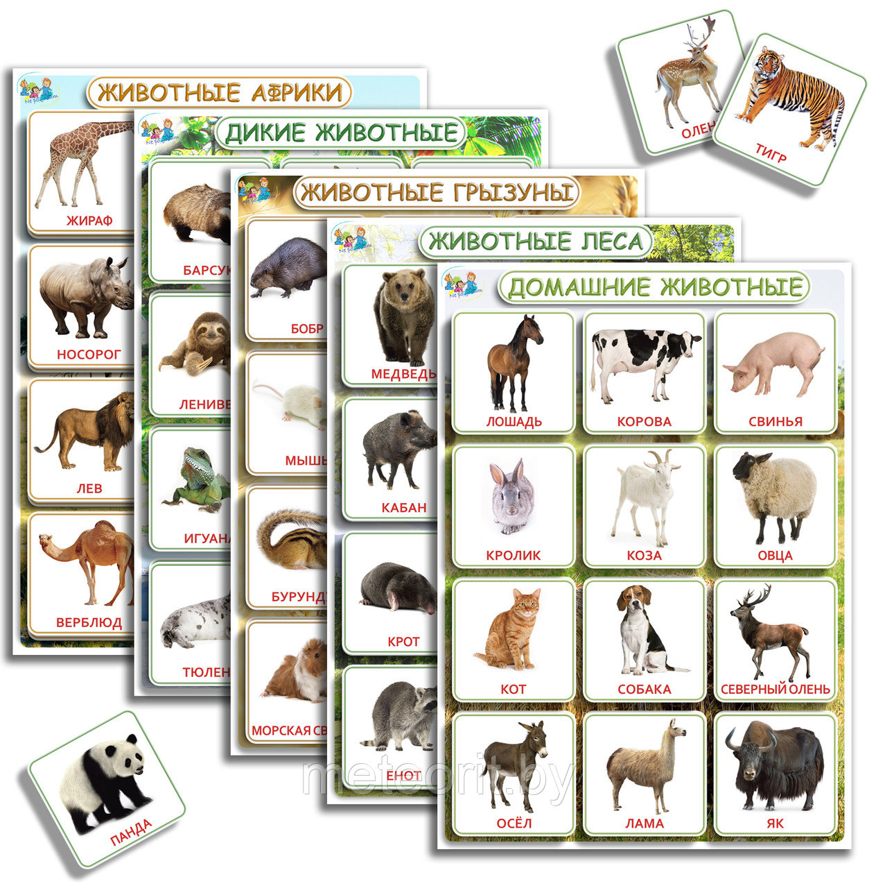 Игровое пособие “Энциклопедия в картинках Животные”