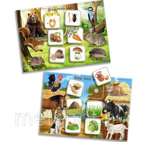 Умные липучки “Кто что ест?”