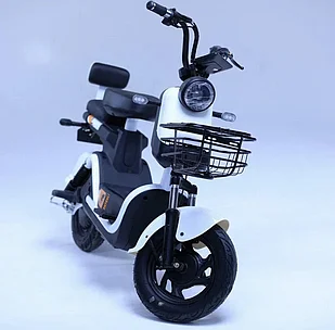 Электроскутер Shtenli Model 21 Performance Pro (аккумулятор 5шт 20Ач12В