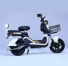 Электроскутер Shtenli Model 21 Performance Pro (аккумулятор 5шт 20Ач12В, фото 2