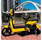 ЭЛЕКТРОВЕЛОСИПЕД Shtenli Model 21 Performance (аккумулятор 4шт 20Ач12В), фото 2