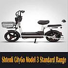 ЭЛЕКТРОВЕЛОСИПЕД Shtenli Model 21 Performance (аккумулятор 4шт 20Ач12В), фото 3