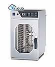 Пароконвектомат Radax Turgenev TR10DG0L c технологией X-Cloud, фото 2