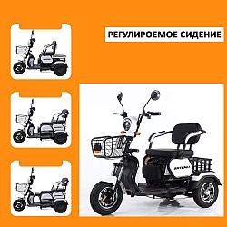 Электрический трицикл SHTENLI Model 31 SLA 12Ач48В (аккумулятор 4шт 12Ач12В)