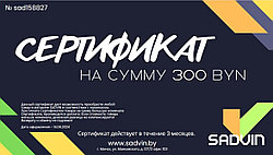 Электронный подарочный сертификат 