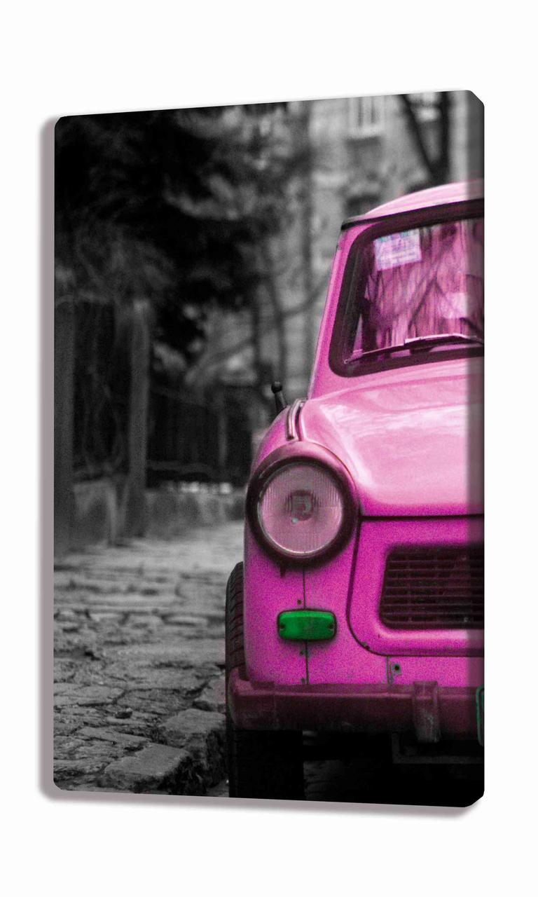 Картина на холсте 100х60 MV561