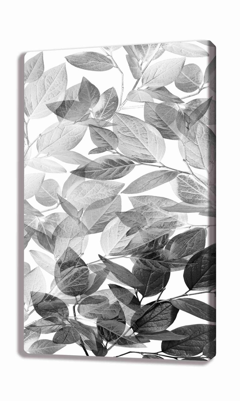 Картина на холсте 100х60 MV711