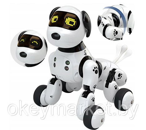 Интерактивная собака робот на радиоуправлении Robot Dog DIMEI 9007A, фото 3