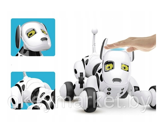 Интерактивная собака робот на радиоуправлении Robot Dog DIMEI 9007A, фото 2