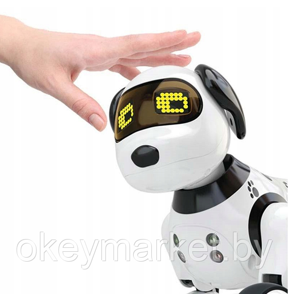 Dimei 9007a robot dog clearance