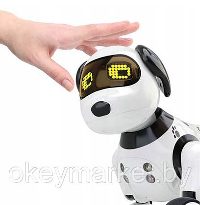 Интерактивная собака робот на радиоуправлении Robot Dog DIMEI 9007A, фото 2