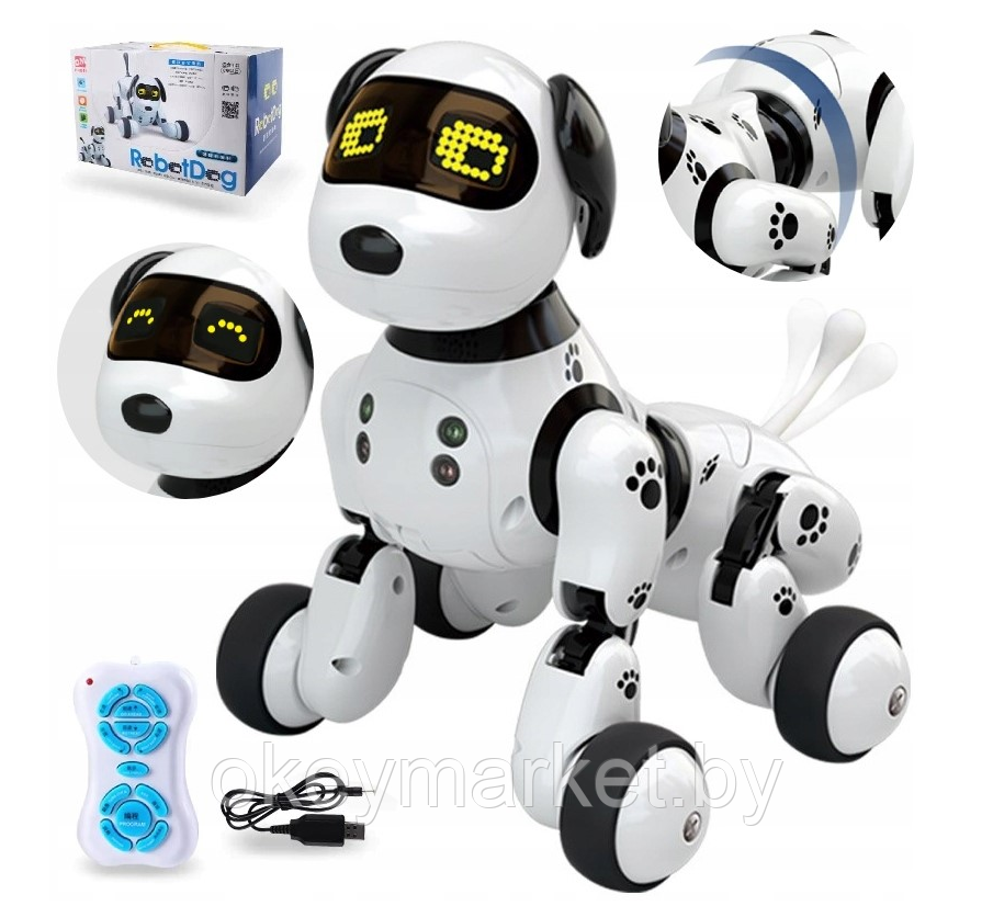 Интерактивная собака робот на радиоуправлении Robot Dog DIMEI 9007A, фото 2