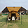 Палатка туристическая 6-ми местная MirCamping,  350х220х160см + 285*220см, арт. 1800-6, фото 4