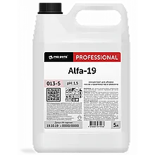 Средство для уборки после строительства 5 л, PRO-BRITE ALFA-19, кислотное, концентрат, 013-5