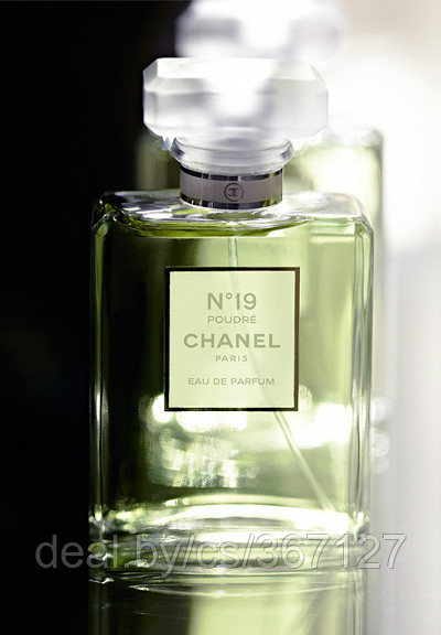 Chanel № 19 Poudre for women