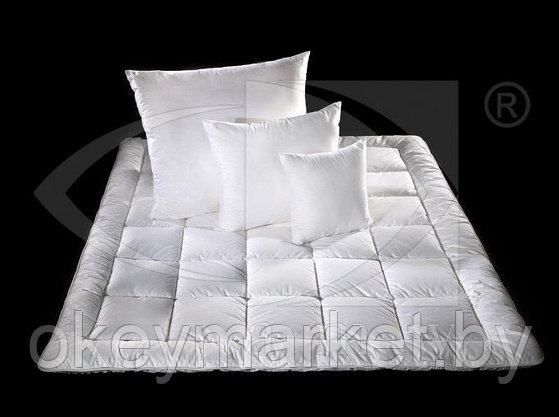 Одеяло гипоаллергенное Hollofil® Allerban® 560г .Размер 140х200., фото 2
