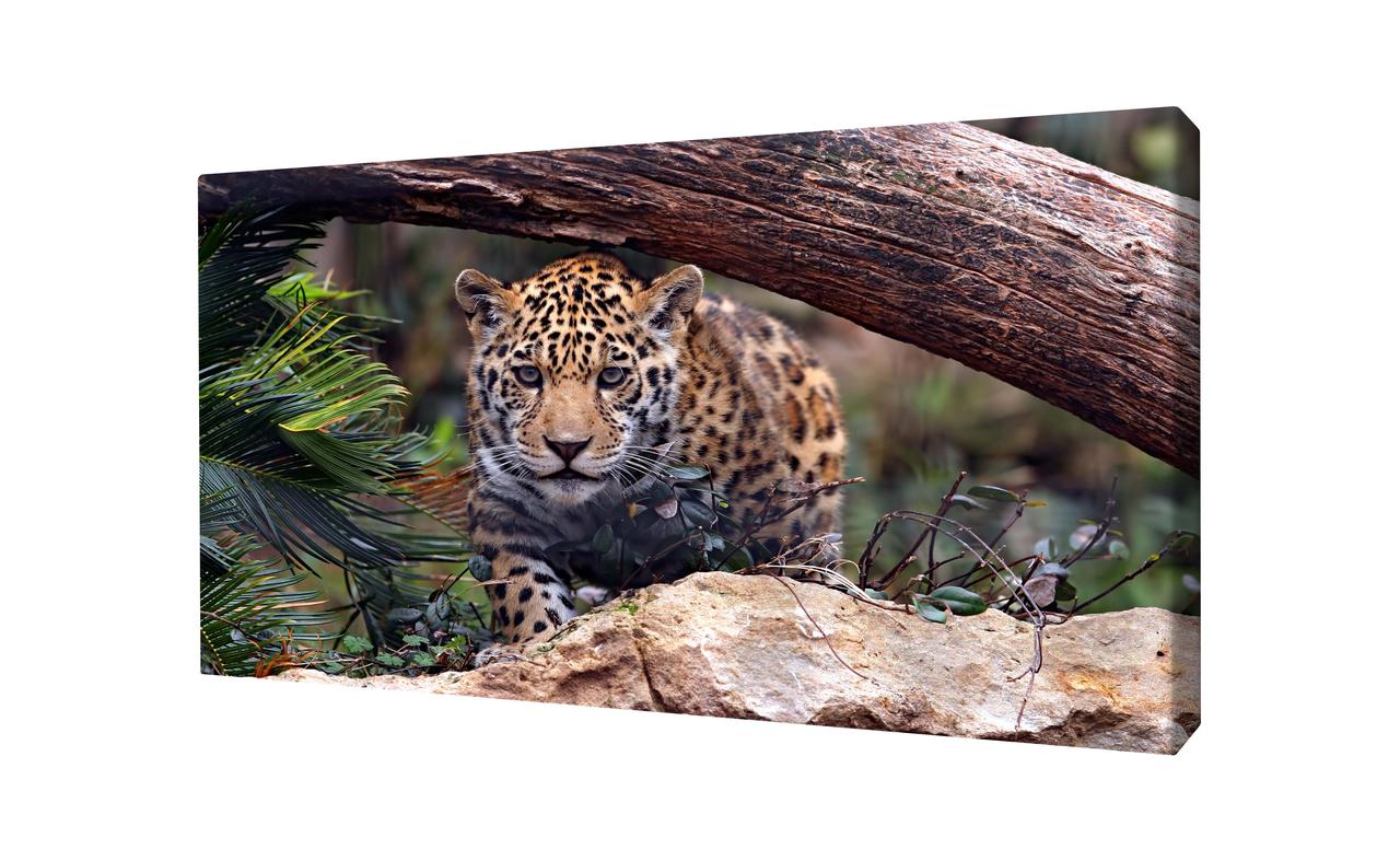 Картина на холсте 100х60 MH8