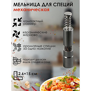 Мельница Пружина 15х2,5 см 2974981