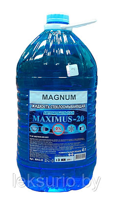 Стеклоомыватель зимний Maximus-20, фото 2