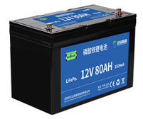 Аккумулятор LiFePO4 12.8V 80Ah, фото 3