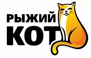 Рыжий кот