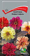 Георгина Мефистофель (ЦВ) 0,2г