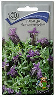 Лаванда Фрагрант баттерфляй (ЦВ) 20шт