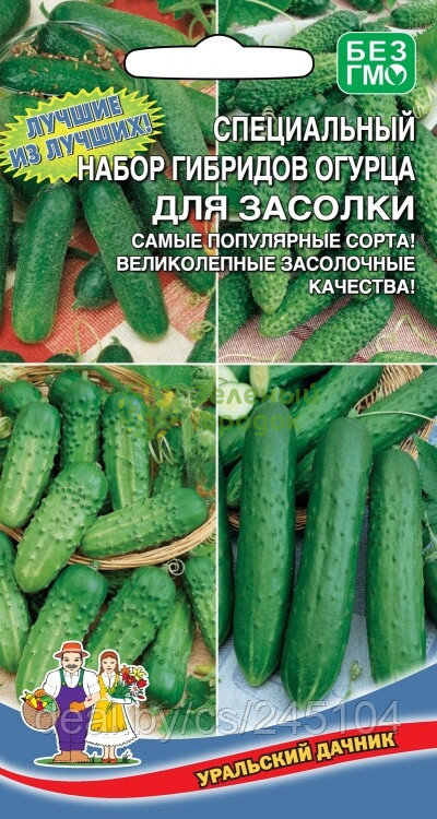 Набор гибридов огурца для засолки УД