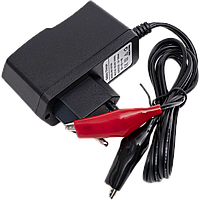 Зарядное устройство 12В 1А MINI