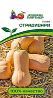 Тыква СТРАДИВАРИ 10шт